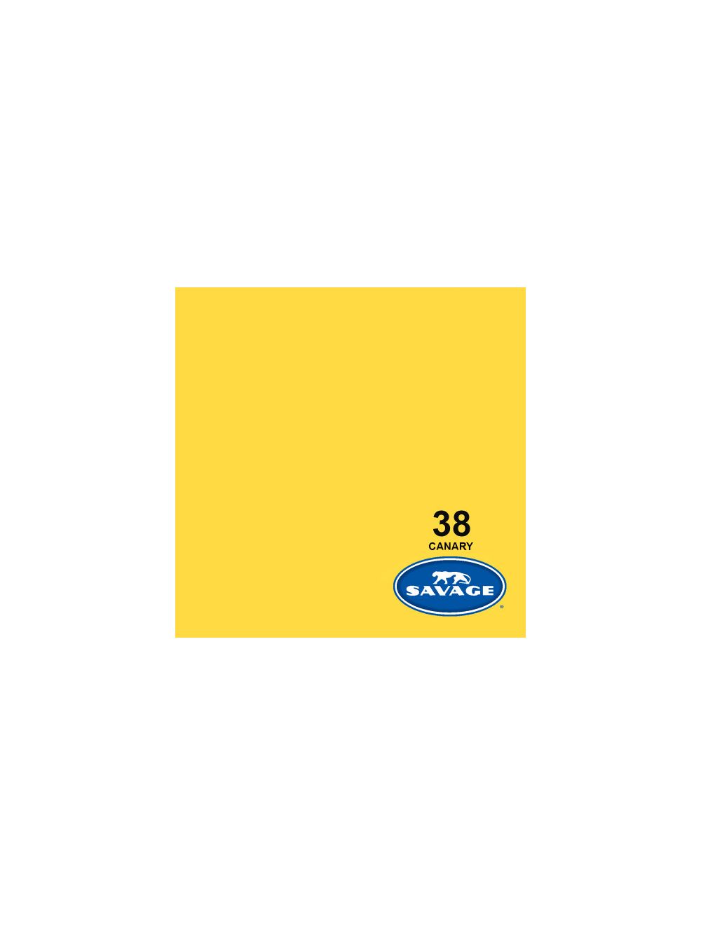 Savage Seamless Background Paper 2.72m